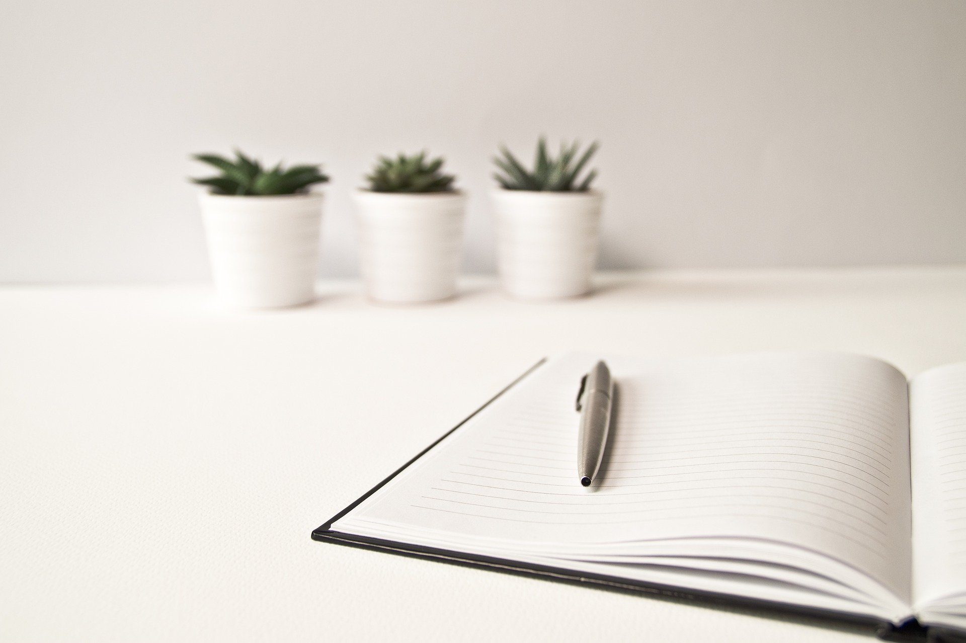 Scripta Conseil